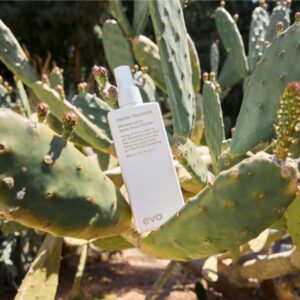 Mister Fantastic Blowout Spray – 200 ml